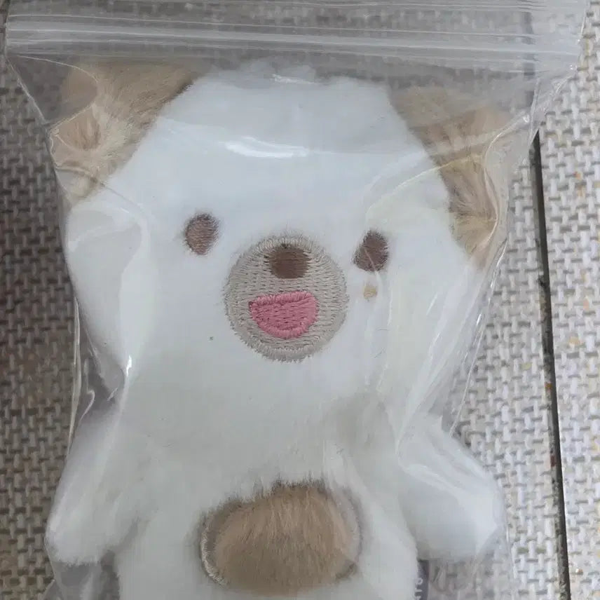 [BUNJANG] Day6 Doll / 데이식스 쁘멀 쁘띠멀즈 개봉  돈 입양증있음