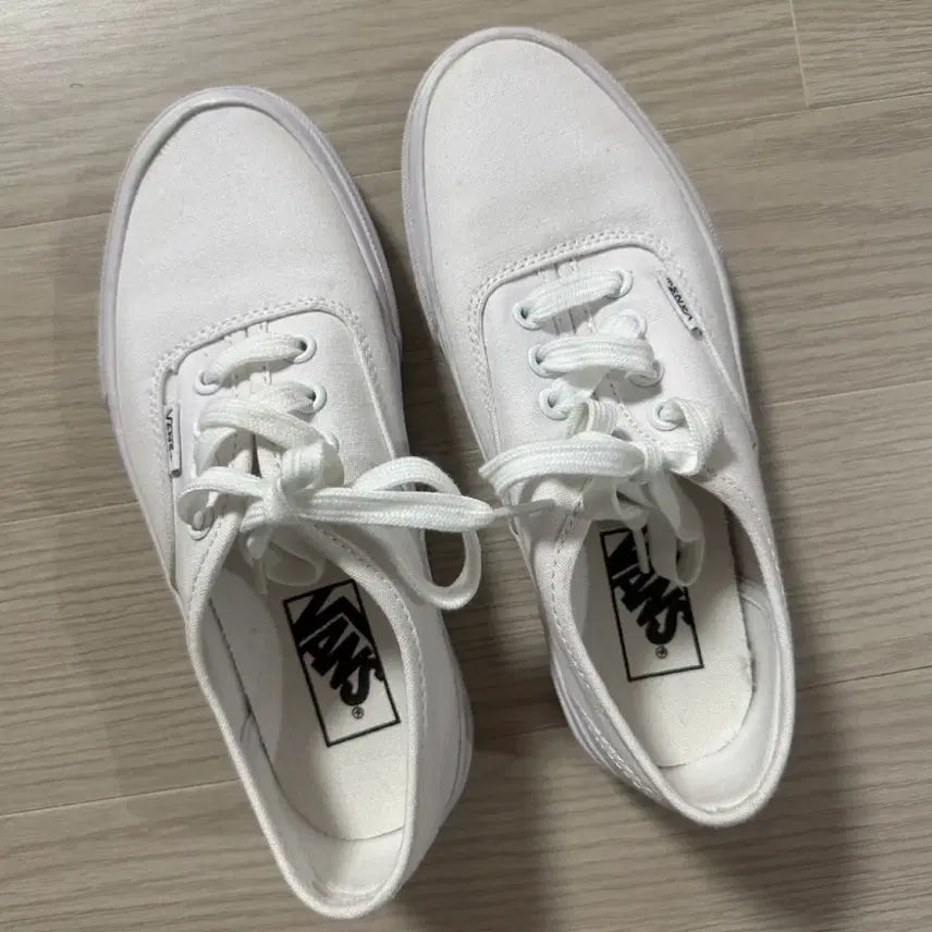 [BUNJANG] Vans Authentic White Canvas Sneakers / 반스 어센틱 화이트 캔버스 스니커즈