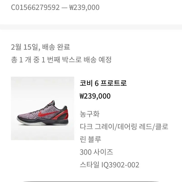 [BUNJANG] Nike Kobe 6 Basketball Shoes / 나이키 코비 6