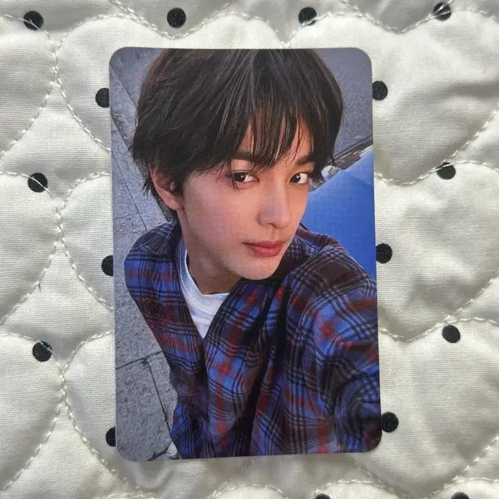 [SOLD OUT] cortis 코르티스 안건호 일본 럭키 카드 포카