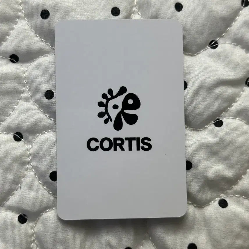 [SOLD OUT] cortis 코르티스 안건호 일본 럭키 카드 포카
