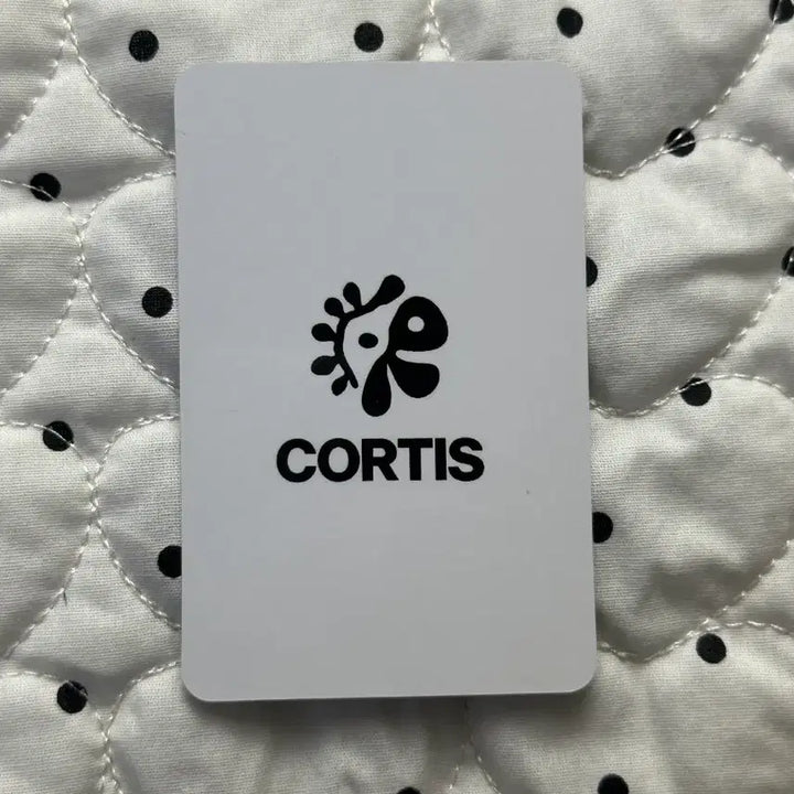 [SOLD OUT] cortis 코르티스 안건호 일본 럭키 카드 포카