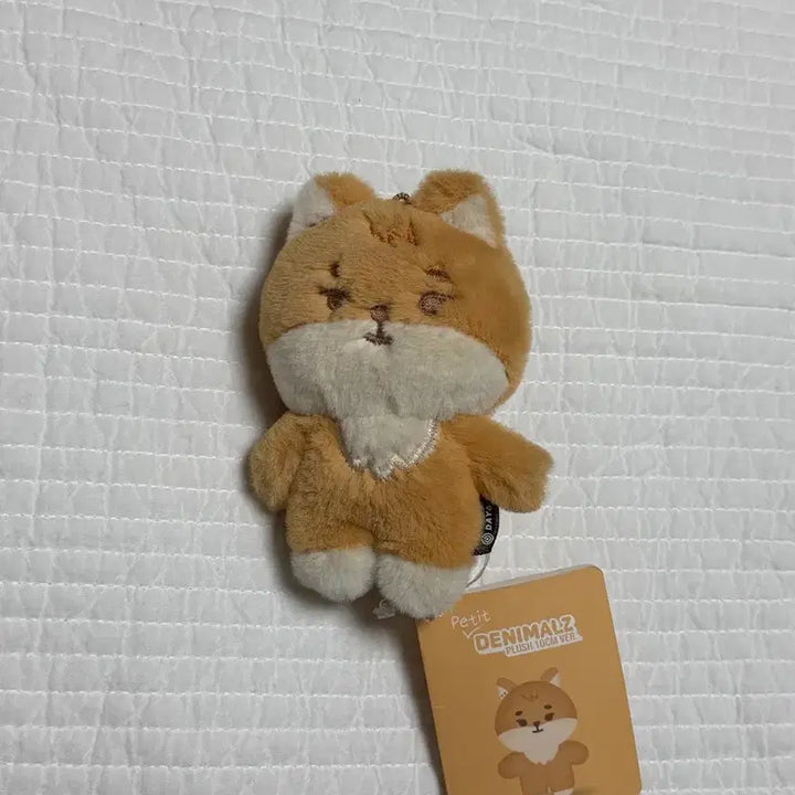 [BUNJANG] Petit Mools K Doll / 쁘띠멀즈 케 양도
