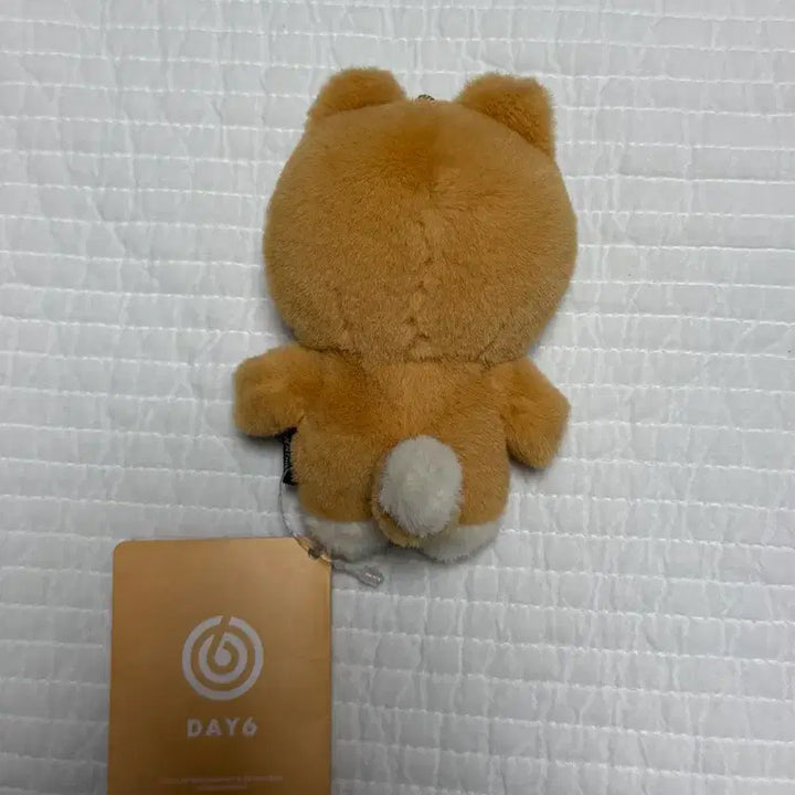 [BUNJANG] Petit Mools K Doll / 쁘띠멀즈 케 양도