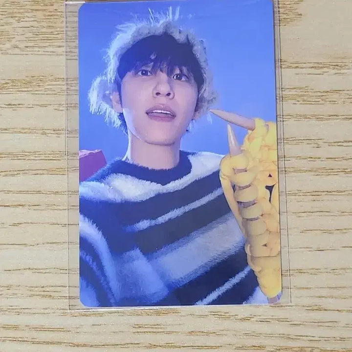 [BUNJANG] Day6 Wonpil 25th Concert Photocard / 데이식스 원필 25클콘 오프라인 5만원포카