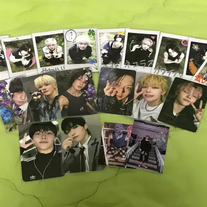 [BUNJANG] ENHYPEN Nicholas Photocard Bundle Set / 앤팀 폴라 포카 니콜라스 포카 일괄