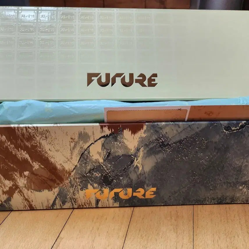 [BUNJANG] Puma Future 9 Ultimate Chinese New Year Edition Soccer Cleats / 푸마 퓨처9 얼티메이트 중국 설날 에디션(한정판)