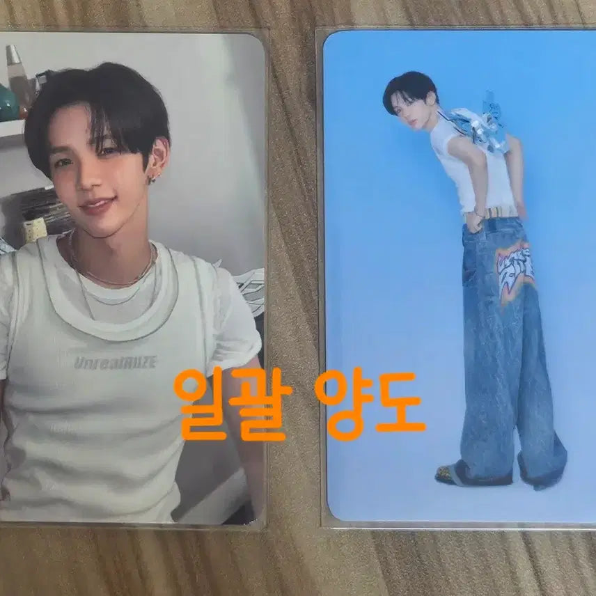 [BUNJANG] RIIZE Shotaro Signature Photocard Bundle Set / 라이즈 시그 트레카 쇼타로 일괄 양도