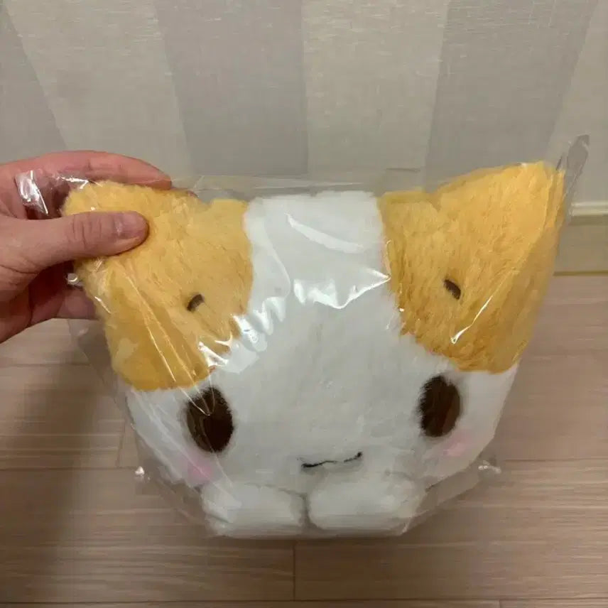 [BUNJANG] Sanrio Marshmallow Japanese Cat Plush Doll / 산리오 마슈마로 일본 고양이 인형 새상품