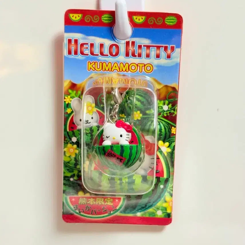 [BUNJANG] Hello Kitty Kumamoto Watermelon Boxed Figure / 고전 키티 2004 수박 키티 수박 헬로키티 박스형