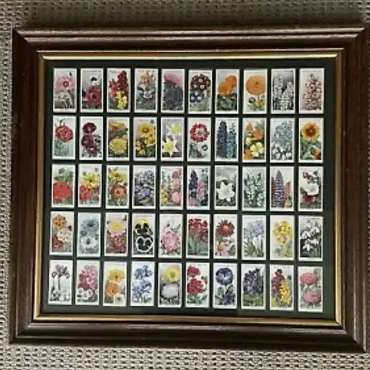 [BUNJANG] Gallaher British Birds Series Vintage Bird Illustration Cards / 영국빈티지카드 유럽빈티지카드 새그림카드 조류 Bird 빈티지일러스트 울새