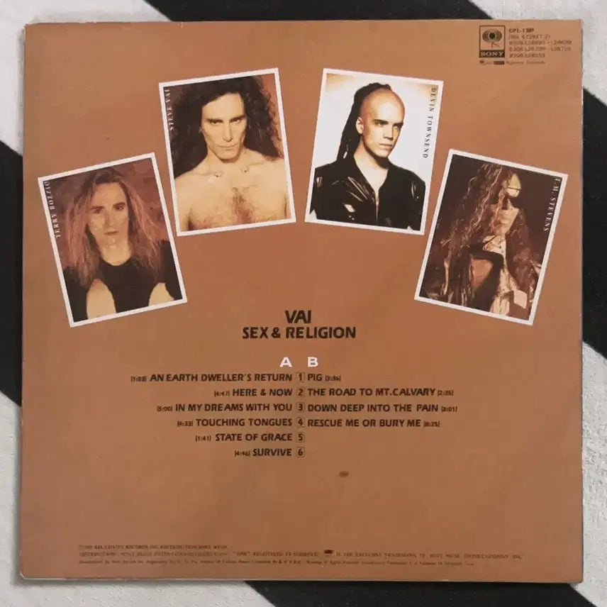 [BUNJANG] Steve Vai Sex &amp; Religion Vinyl LP / Steve vai lp