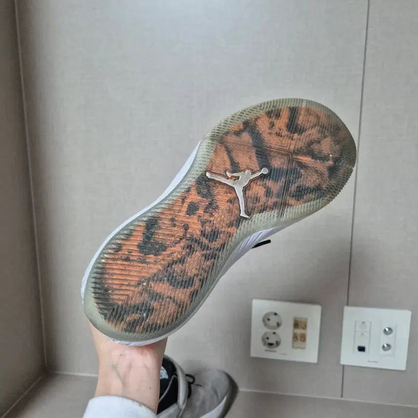 [BUNJANG] Nike Jordan Why Not Zero.1 Basketball Shoes / 280mm)나이키 조던 와이 낫 제로 1 농구신발
