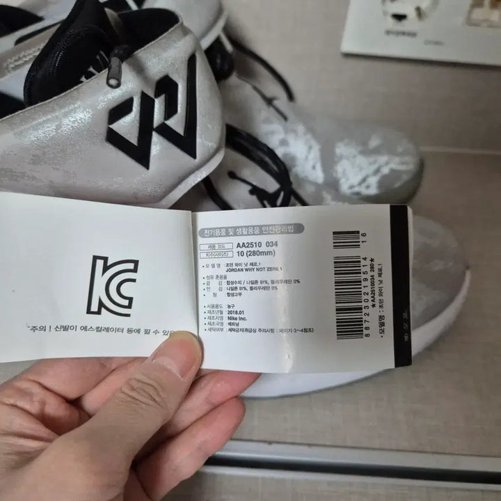 [BUNJANG] Nike Jordan Why Not Zero.1 Basketball Shoes / 280mm)나이키 조던 와이 낫 제로 1 농구신발