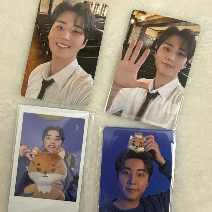 [BUNJANG] DAY6 Young K Bundle Set Photocard / 데이식스 영케이 포카 일괄 (자쁘멀, 5만원 포카, 디아이콘)