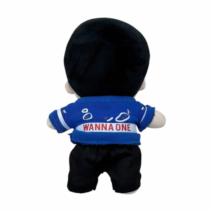 [BUNJANG] Wanna One Park Jihoon Doll / 워너원 박지훈 인형
