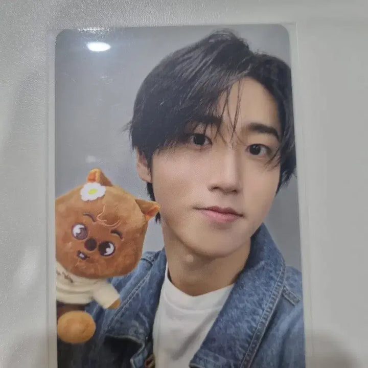 [BUNJANG] Zootopia Photocard / 한 주토피아 포카