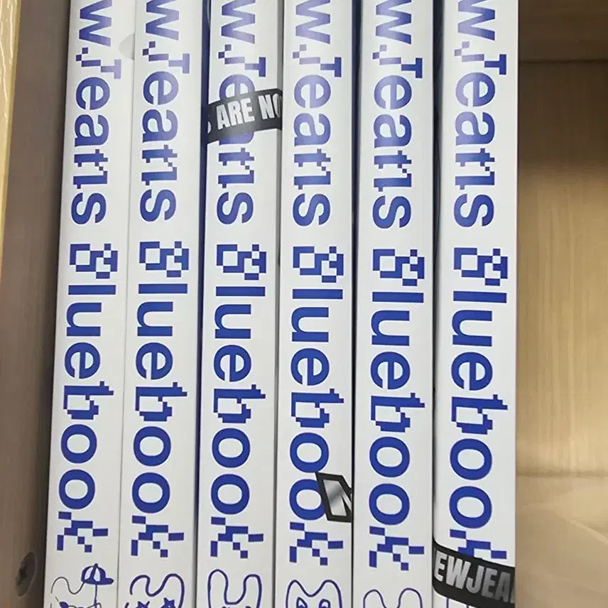 [SOLD OUT] 뉴진스 블루북
