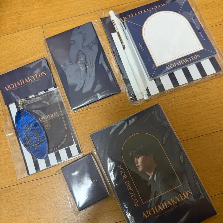 [BUNJANG] Cha Hak Yeon Fanmeeting 2023 Goods Bundle Set / 2023 아! 차학연 팬미팅 굿즈 (새상품)