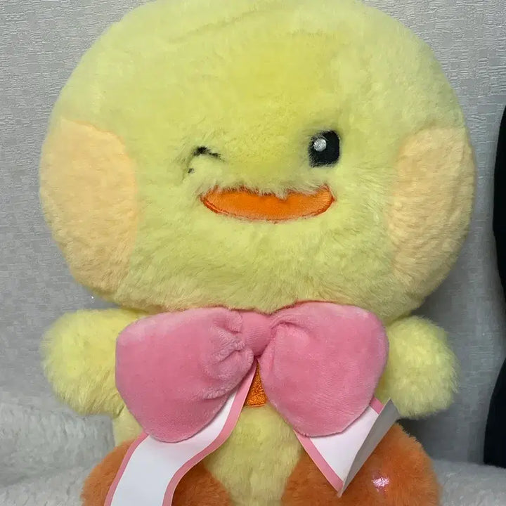 [SOLD OUT] 제로베이스원 제로니 태니니 양도
