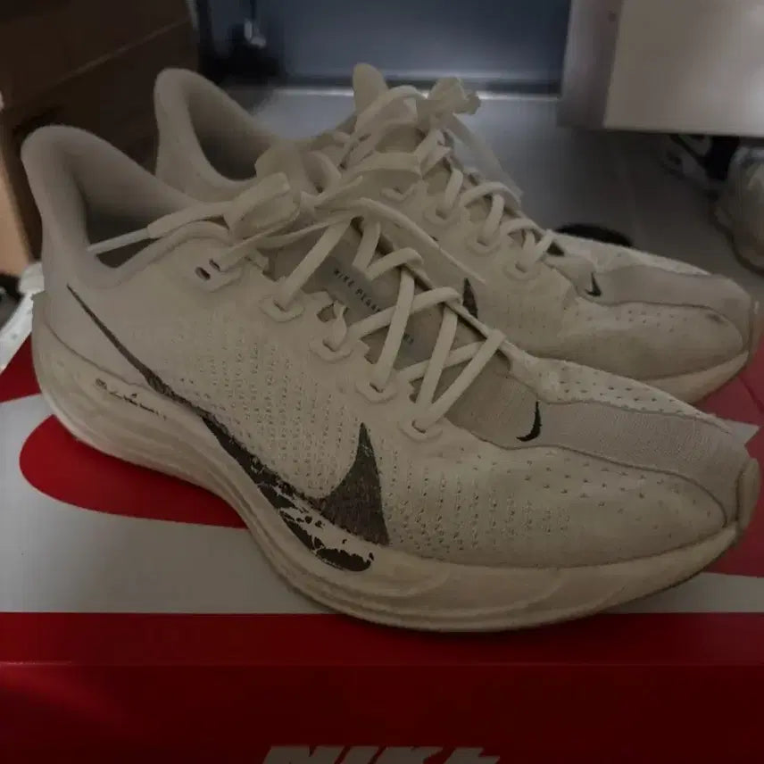 [BUNJANG] Nike Pegasus White Sneakers / 나이키 페가수스 흰색 운동화