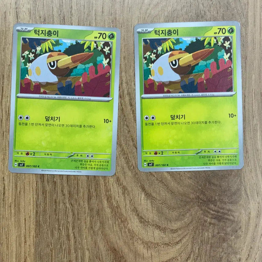 [BUNJANG] Pokemon Card Grubbin Collection / 포켓몬카드 턱지충이 판매