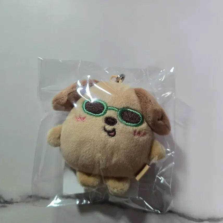 [BUNJANG] RIIZE Anton Mini Doll / 라이즈 미니돌 태닝 멍룡 앤톤 미개봉