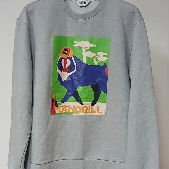 [BUNJANG] The North Face Unisex Grey Printed Sweatshirt / 노스페이스 남여공용 95사이즈 맨투맨