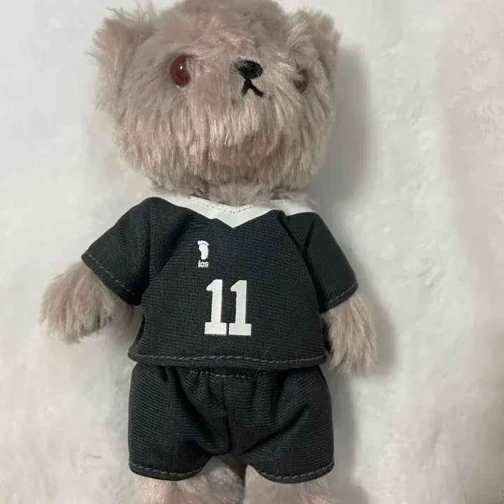 [BUNJANG] Haikyuu! Osamu Miya Image Bear Official Goods / 하이큐 미야 오사무 이미지 베어 무빅 공식 굿즈