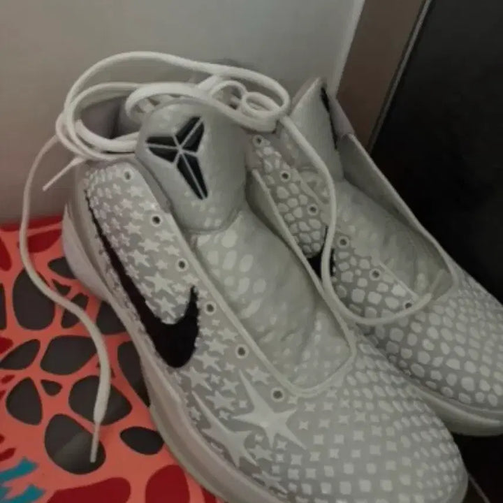 [BUNJANG] Kobe 6 All-Star Sneakers / 코비6 올스타 300