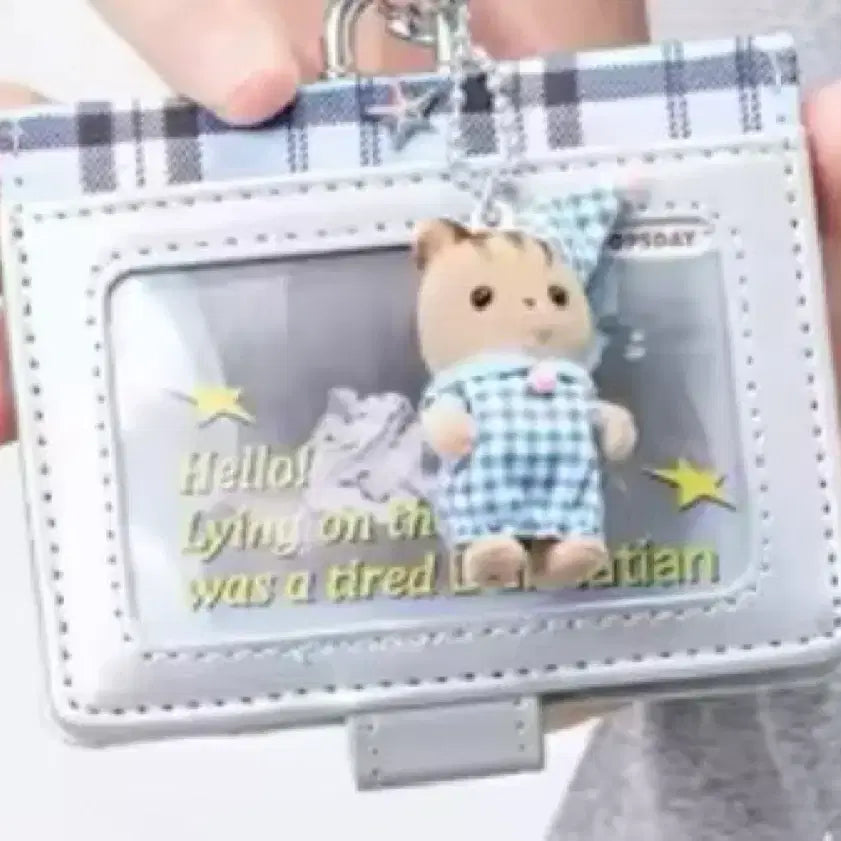 [BUNJANG] Silver Card Wallet with Photo Card Holder / 실버 카드 지갑 카드지갑 증사 포카 지갑 이타백