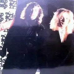 [BUNJANG] Cheap Trick Lap of Luxury Vinyl Record / CHEAP TRICK (LAP OF LUXURY)