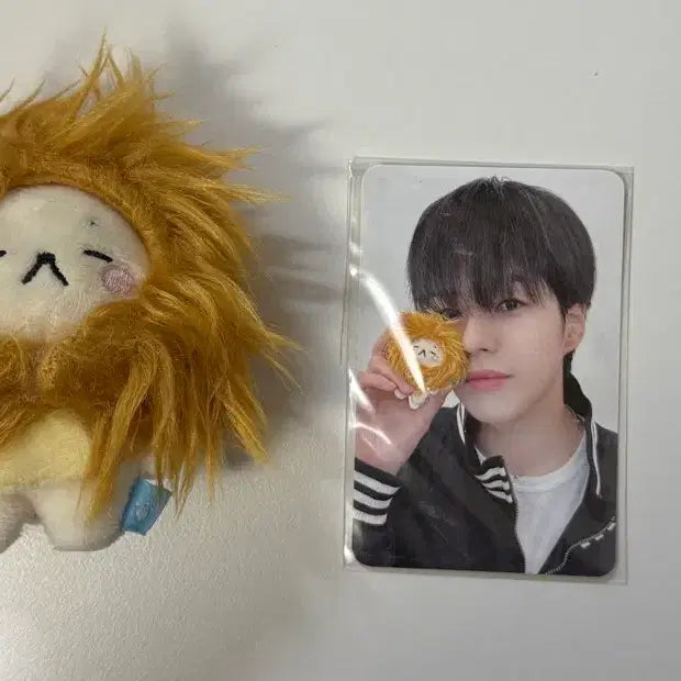 [BUNJANG] TREASURE Jaehyuk Doll / 깨루 (트레저 재혁 인형)