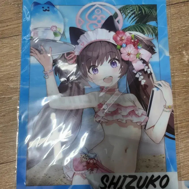 [BUNJANG] Blue Archive Shizuko Clear File / 블루 아카이브 시즈코 클리어파일 미개봉