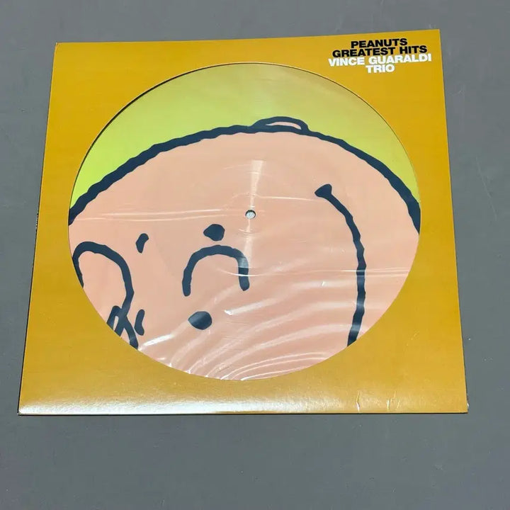 [BUNJANG] Peanuts Snoopy Charlie Brown Sally LP Record / 피너츠 스누피 찰리브라운 샐리 엘피 lp