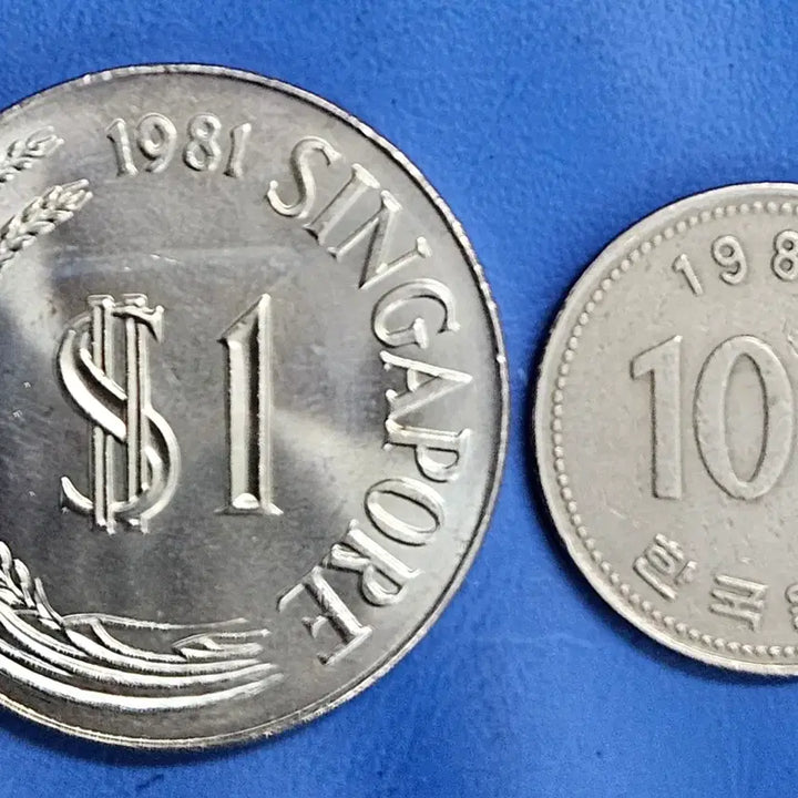 [BUNJANG] Singapore 1 Dollar Coin 1981 / [대형] [미사용][토닝중] 1981 싱가포르 1달러 M1028