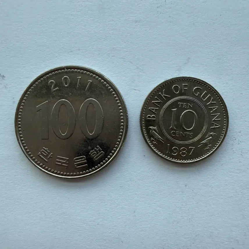[BUNJANG] Guyana 10 Cent Coin (1987) / 1987년 가이아나 10센트 동전 S869