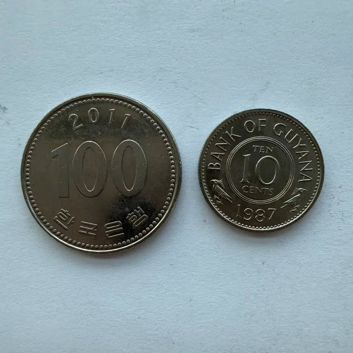 [BUNJANG] Guyana 10 Cent Coin (1987) / 1987년 가이아나 10센트 동전 S869