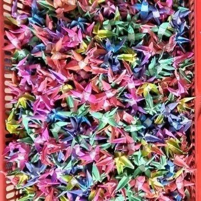 [BUNJANG] Handmade Paper Crane Artwork / 종이학