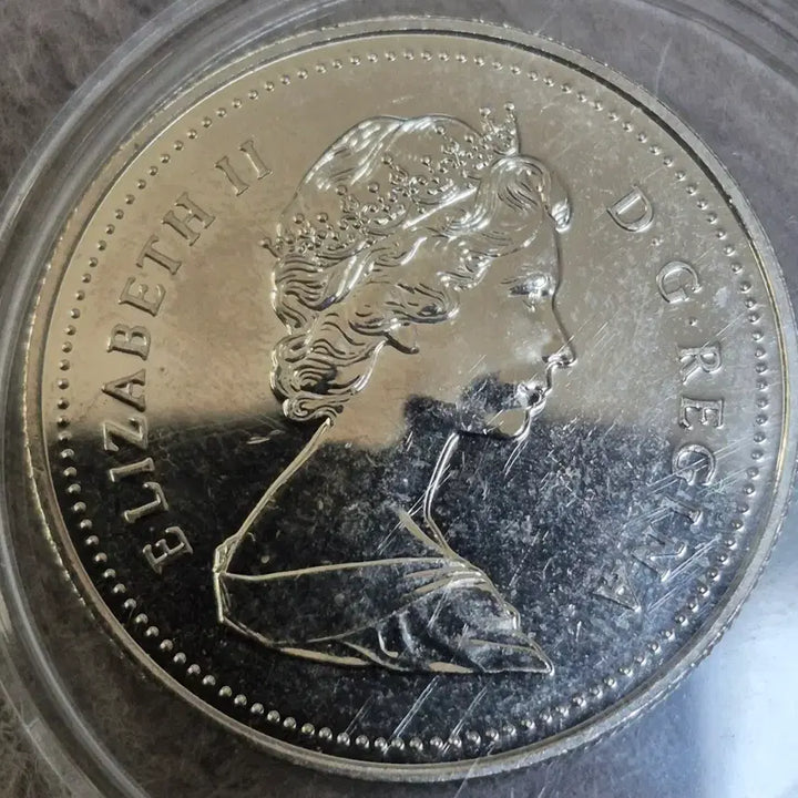 [BUNJANG] Canada 1 Dollar Proof Coin (1986) / 1986년 캐나다 1달러 주화 프루프