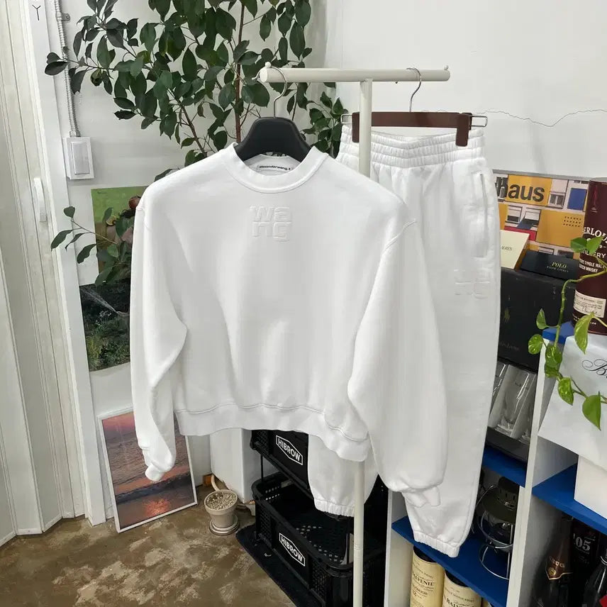 [BUNJANG] Alexander Wang Sweat Set XS/XS / 알렉산더왕 스웻 셋업 XS/XS