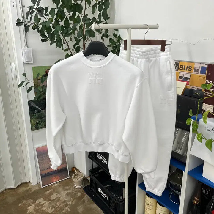 [BUNJANG] Alexander Wang Sweat Set XS/XS / 알렉산더왕 스웻 셋업 XS/XS