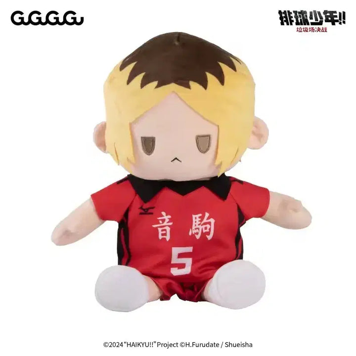 [BUNJANG] Haikyu Kozume Kenma 40cm Plush Doll / (새상품) 하이큐 코즈메 켄마 40cm 빅 누이구루미 봉제인형