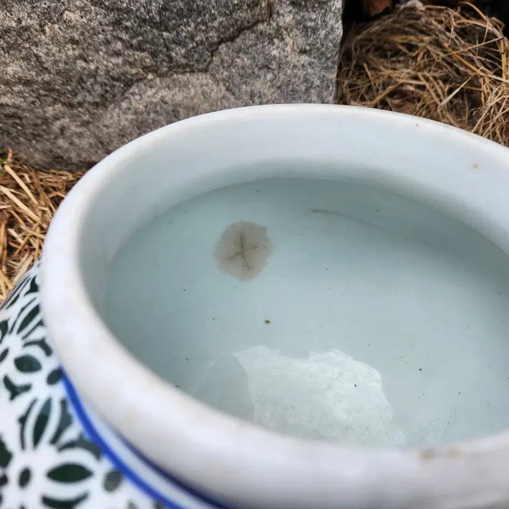 [BUNJANG] Celadon Porcelain Peony Jar / 외사기 목단항아리