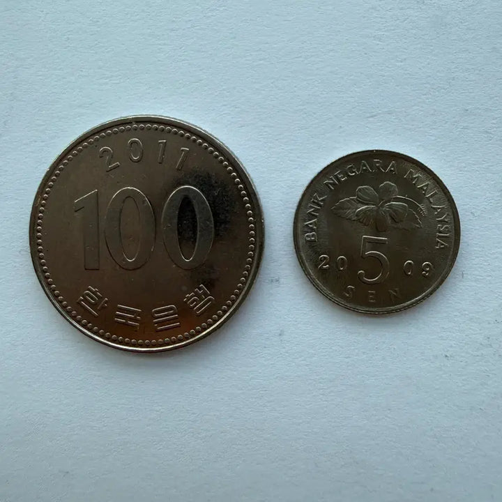 [BUNJANG] Malaysia 5 Cent Coin 2009 / 2009년 말레이시아 5센 동전 S884