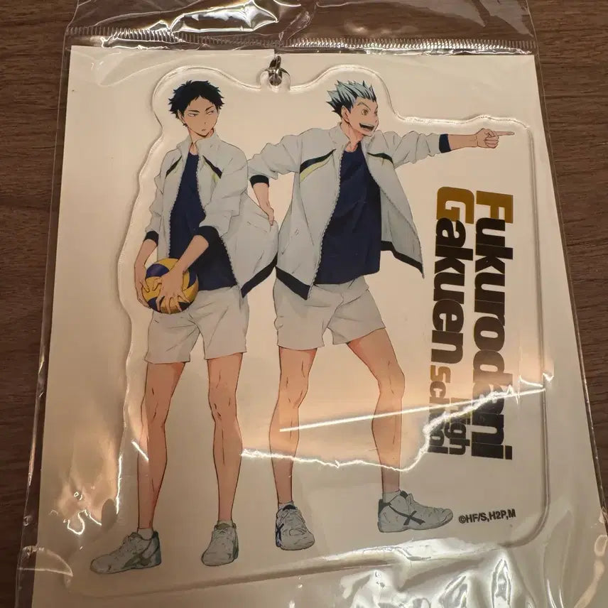 [BUNJANG] Haikyu Bokuto &amp; Akaashi Acrylic Keyring / 하이큐 보쿠토 아카아시 빅 아크릴 키링