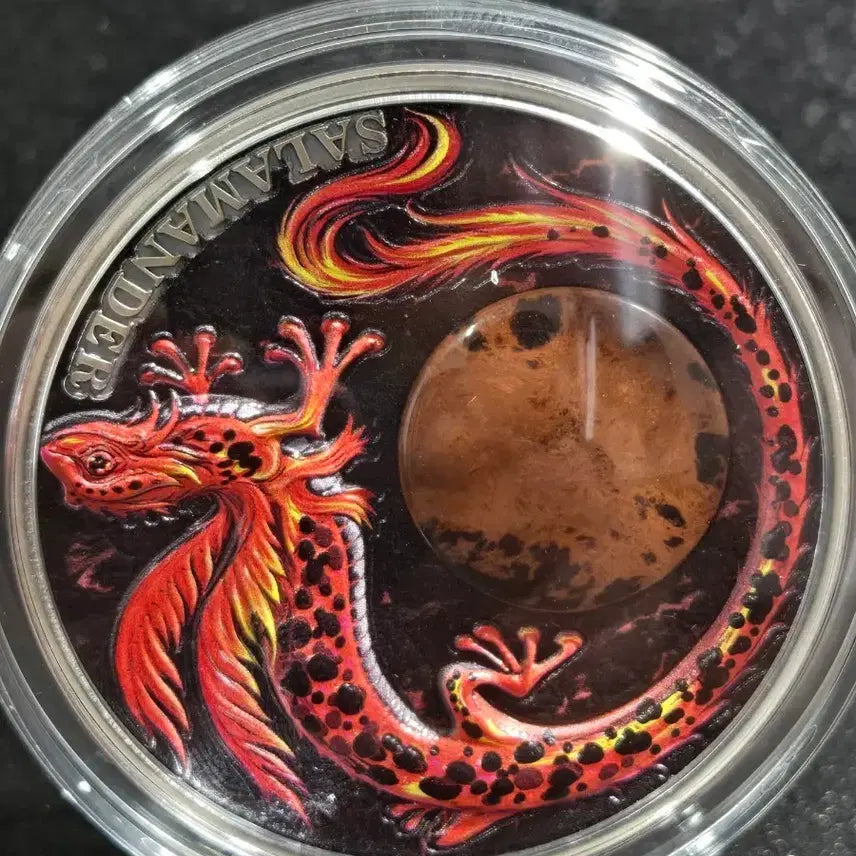 [BUNJANG] Ghana Salamander Dragon Commemorative 2 oz Silver Coin / 가나 샐러맨더 드래곤 기념 2온스