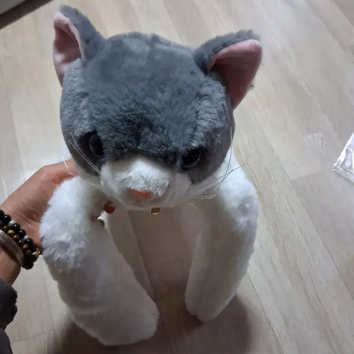 [BUNJANG] Cute Cat Plush Toy 50cm / 앞발이무거운 큐티캣고양이 목도리 봉제인형 인형 50센티(무료배송)