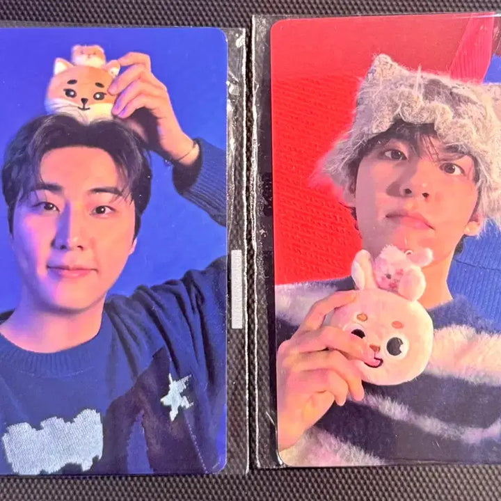 [BUNJANG] Day6 Online Concert Young K Wonpil Photocard Bundle Set / 데이식스 클콘 온라인 5만원 포카 영케이 원필 일괄
