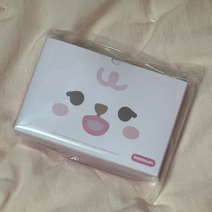 [BUNJANG] Ppeumul Portable Battery / 하자 확인 단순 개봉) 쁘멀 필 보조배터리